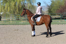 Bob - registered Arabian Gelding