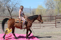 Bob - registered Arabian Gelding Bay Horse