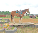 Clyde - registered Spotted Draft red roan Horse