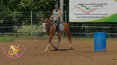 Clyde - registered Spotted Draft red roan Horse