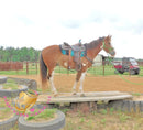 Clyde - registered Spotted Draft red roan Horse