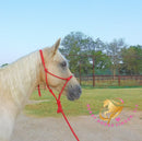 Melody - Tw Palomino Mare Horse