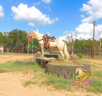 Melody - Tw Palomino Mare Horse