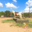 Melody - Tw Palomino Mare Horse