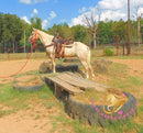 Melody - Tw Palomino Mare Horse