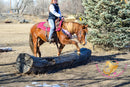 Hope - Mustang Horse