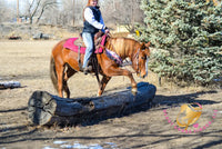 Hope - Mustang Horse