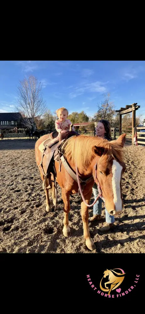 Hope - Mustang Horse