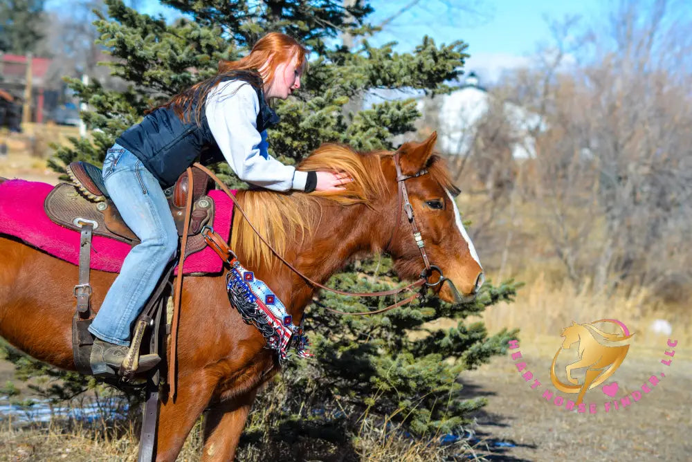 Hope - Mustang Horse