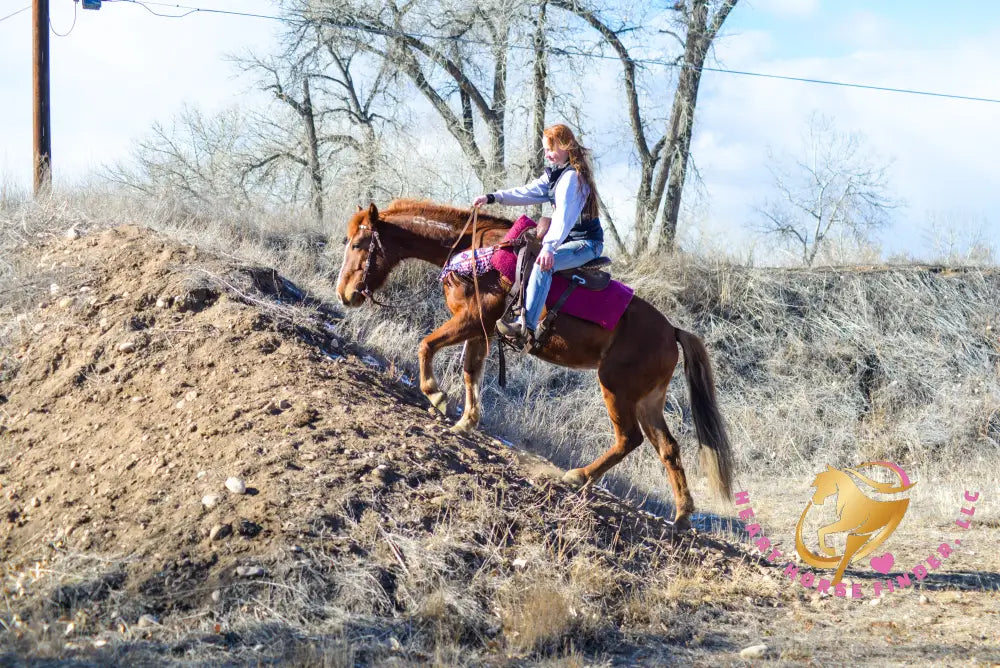 RESERVE PRICE NOT MET - Hope - Mustang