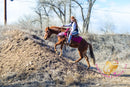 Hope - Mustang Horse