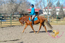 Hope - Mustang Horse