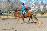 Hope - Mustang Horse