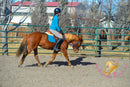 Hope - Mustang Horse