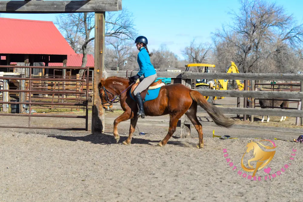 Hope - Mustang Horse