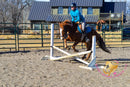 Hope - Mustang Horse