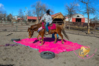 Hope - Mustang Horse