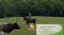 Nova - registered Spotted Draft Black Horse