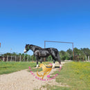 Nova - registered Spotted Draft Black Horse