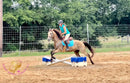 Sold Fanny - Quarter Horse