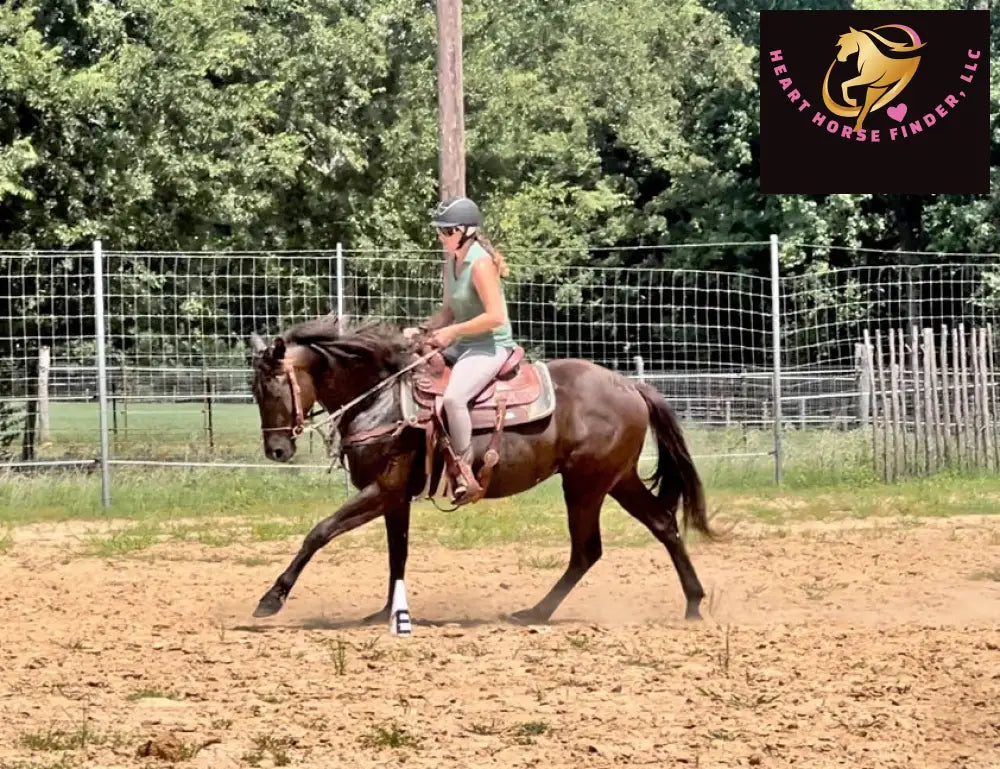 Sold Junior - Quarter Horse