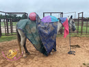 Tundra - Percheron / Qh Cross Mare Horse